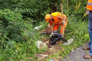 FOTO: Descoperire şocantă la Leleşti