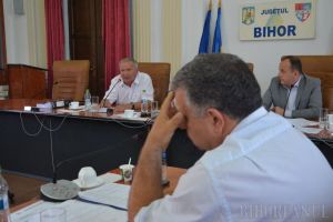 Şefii PSD, UDMR şi ALDE din Consiliul Judeţean şi-au 