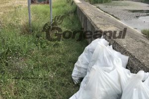 Tone de mizerie, strânse din barajele de pe Jiu