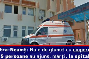 Piatra-Neamţ: Nu e de glumit cu ciupercile! 5 persoane au ajuns, marţi, la spital