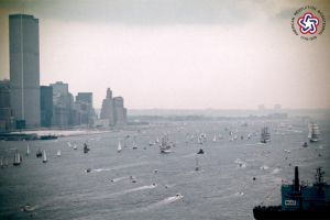 Bricul Mircea - Twin