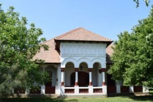 Cât COSTĂ să ajungi VECIN cu Traian BĂSESCU. FOTO