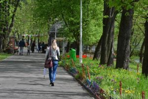 Hoţul din parcuri: Adolescent de 17 ani, reţinut în arestul IPJ Bihor, pentru furturi