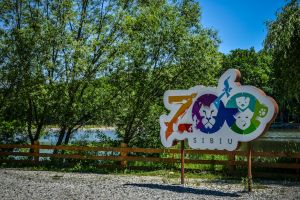 Proiect nou la Grădina Zoologică Sibiu: Ferma animalelor – 2018
