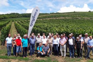 Se anunţă producţie bună în podgoriile ”Vie-Vin”. Tehnologii performante, prezentate la Lechinţa