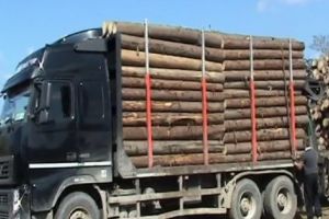 Camion plin cu lemne, gata să se răstoarne