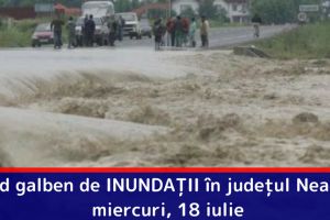 Cod galben de INUNDAȚII în judeţul Neamţ, miercuri, 18 iulie