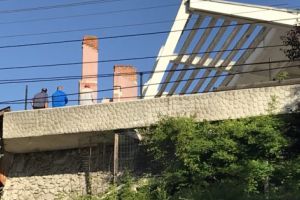 Închis la Casa Universitarilor pentru aurolaci şi câini fără stăpân
