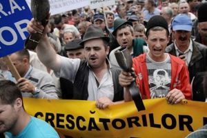 O decizie controversată luată de MADR dezavantajează fermierii români