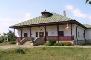 Fiziologia provinţialului