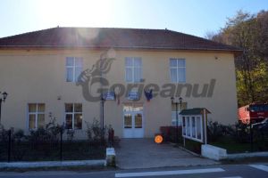 Primăria Săcelu angajează şofer