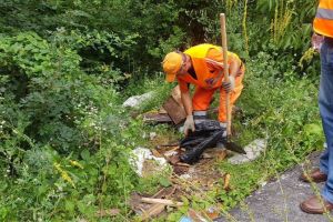 Dosar penal de profanare de morminte, după descoperirea unui sicriu pe marginea drumului