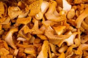 Ciupercile, verificate gratuit, în piaţa agroalimentară din Sfântu Gheorghe