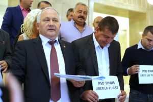 Reprezentantii PMP, pe treptele CJ Timis: Se fura functii!