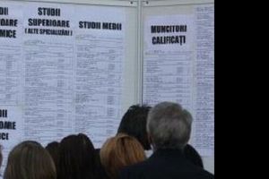 La sfârşitul lunii iunie 2018, în evidenţele Agenţiei Judeţene pentru Ocuparea Forţei de Muncă erau înregistraţi 5608 şomeri. Dintre aceştia, 2502 sunt femei