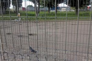 Punctul de Trecere a Frontierei Siret, o cocină cu gropi, mizerie şi ciori