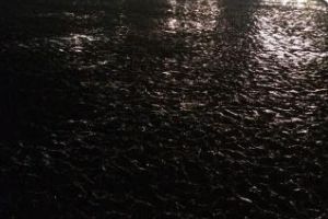 Electric Castle 2018: E răzbunarea sufletelor de porci - FOTO