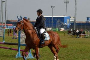 Trei zile de eleganţă în şa la Cupa României