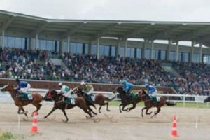 Program reuniune hipica 22.07.2018. Curse de cai şi street food pe Hipodromul din Ploieşti la premiul orasului la trap