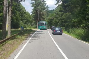 Turişti surprinşi de urşi la barajul Vidraru