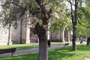 ”Încercări de a tergiversa modernizarea unei părţi importante a oraşului”