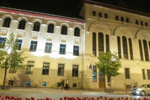 Strategia culturală a Timişoarei pusă la zid de ONG-uri: ”Se dau bani doar pentru festivaluri”