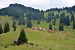 Ariile protejate, „naţionalizate”: ONG-urile nu mai pot lua în custodie rezervaţiile