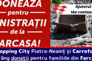 Shopping City Piatra-Neamţ şi Carrefour Piatra-Neamţ strâng donaţii pentru familiile din Farcaşa