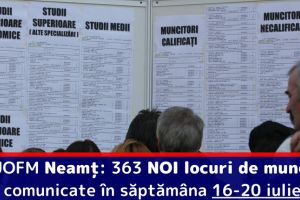 AJOFM Neamţ: 363 NOI locuri de muncă, comunicate în săptămâna 16-20 iulie