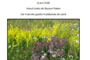 Sărbătoare a Patrimoniului Cultural – Medicina tradiţională românească cu rădăcini dacice. Plante medicinale din Munţii Apuseni, sâmbătă, la Bucium-Poieni