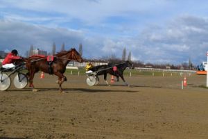 Cursa lu' şapte cai