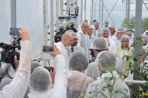 Investiţie de peste 700.000 euro. Prima seră hidroponică de roşii cherry din Bihor a fost inaugurată la Toboliu (FOTO)