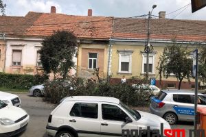 FOTO. Copac căzut peste maşini în municipiul Satu Mare