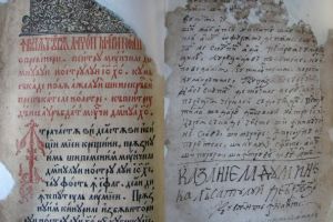 FOTO: La pas prin Biblioteca Muzeului Naţional al Unirii din Alba Iulia, în Anul Centenar