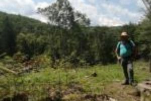 Plângere penală depusă la Reşiţa împotriva Romsilva! Abuz în serviciu, înşelăciune, fals şi uz de fals?!