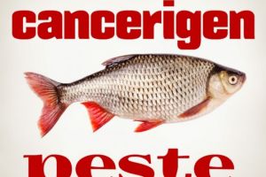 Care e cel mai cancerigen peşte. Nu mai cumpăraţi niciodată!