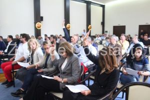 Consilierii municipali PNL Constanta au depus un proiect pentru amenajarea de noi spatii verzi