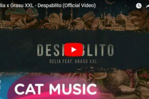 Melodia Zilei: Delia x Grasu XXL - Despablito (Official Video)