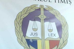 REVOLTĂTOR! Judecătoarea  Adriana Stoicescu: „Când legea e pentru unii mumă şi pentru alţii ciumă, cred că putem pleca cu toţii acasă”