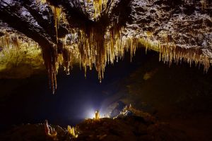 Trei arii protejate din Bistriţa-Năsăud îşi pierd custozii. Cine va administra de acum siturile