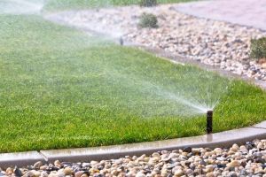 Apă pentru verde! Sistemele de irigare sunt indispensabile pentru buna întreţinere a grădinilor