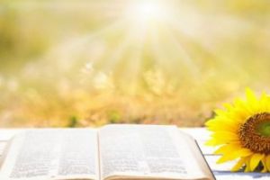 Europenii vor să înveţe limba română. Motivul este HALUCINANT!