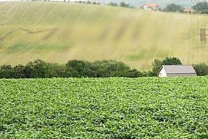 Mesaj anti-PSD scris pe un deal din Cluj

