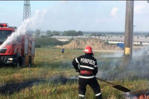 Arde câmpul la Tulcea. Lângă un complex zootehnic