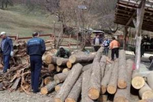 Controale la Sălătrucu