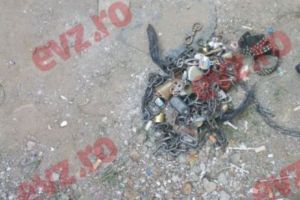 INCREDIBIL! Îl ţineau legat în LANȚURI ca pe un animal. AUTORITĂȚILE au fost ÎNGROZITE