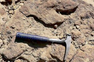 O cetate medievală descoperită în Almaşu Mic, cercetată de studenţi orădeni