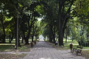 Parcul Civic poate intra in santier abia din toamna. Se face si fantana decorativa