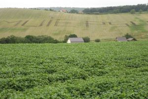 Clujenii care a scris pe mirişte 