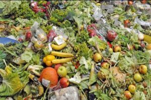 Comercianţii şi producătorii români vor putea dona alimentele în prag de expirare